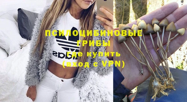 гашиш Новокубанск