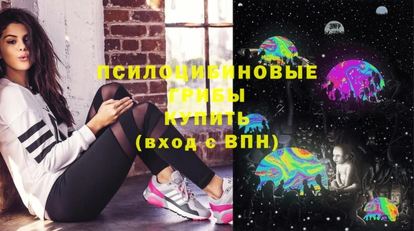 мяу мяу мука Новозыбков