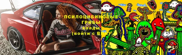 мяу мяу мука Новозыбков