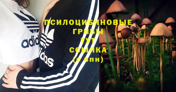 мяу мяу мука Новозыбков