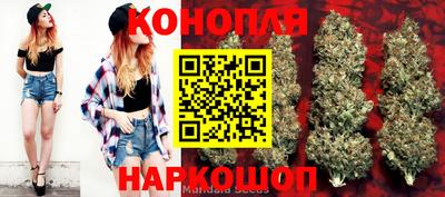 хмурый Гай