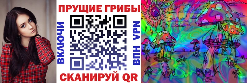 Галлюциногенные грибы прущие грибы  Заводоуковск 
