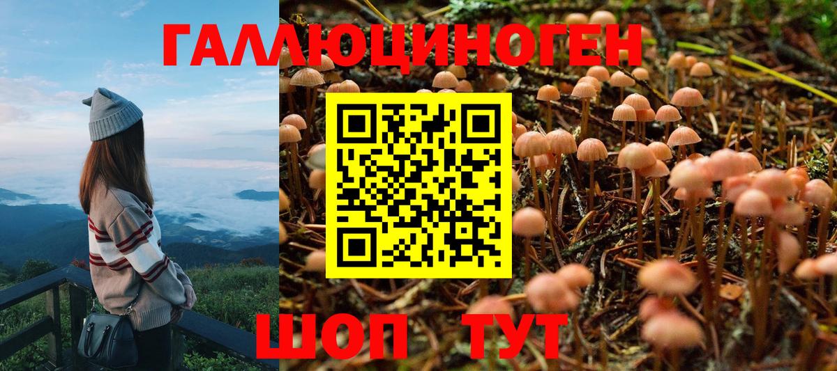 Псилоцибиновые грибы MAGIC MUSHROOMS Заводоуковск