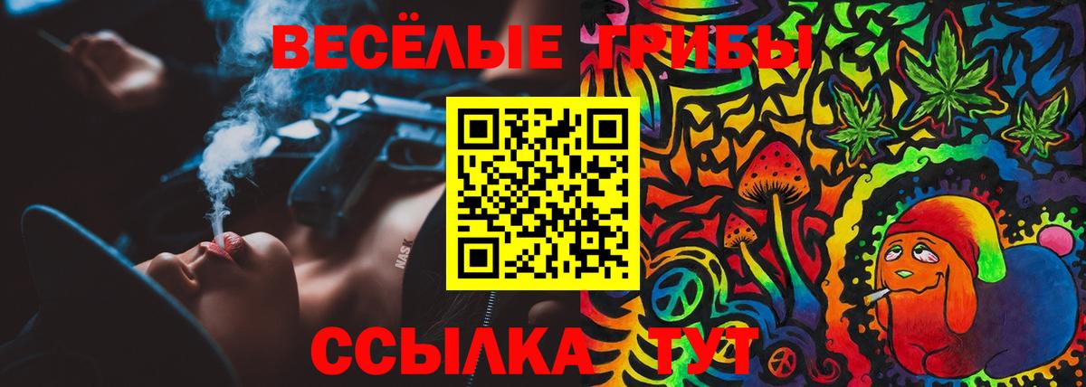 Псилоцибиновые грибы Cubensis Заводоуковск